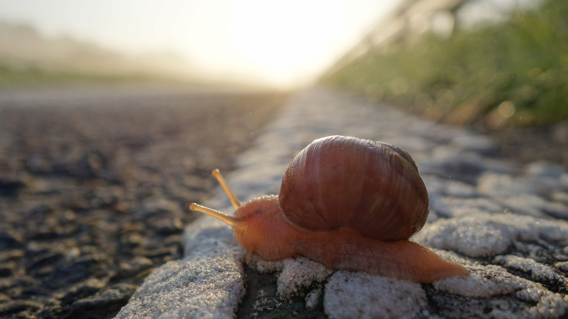 Radtour im Morgennebel und Kinderkirche Sauls Berufung