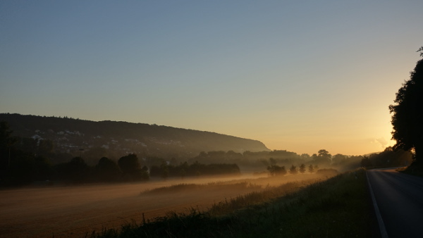 RX12706_600x338