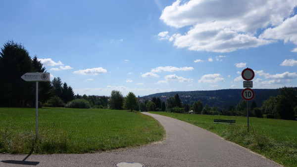 RX12719_600x338
