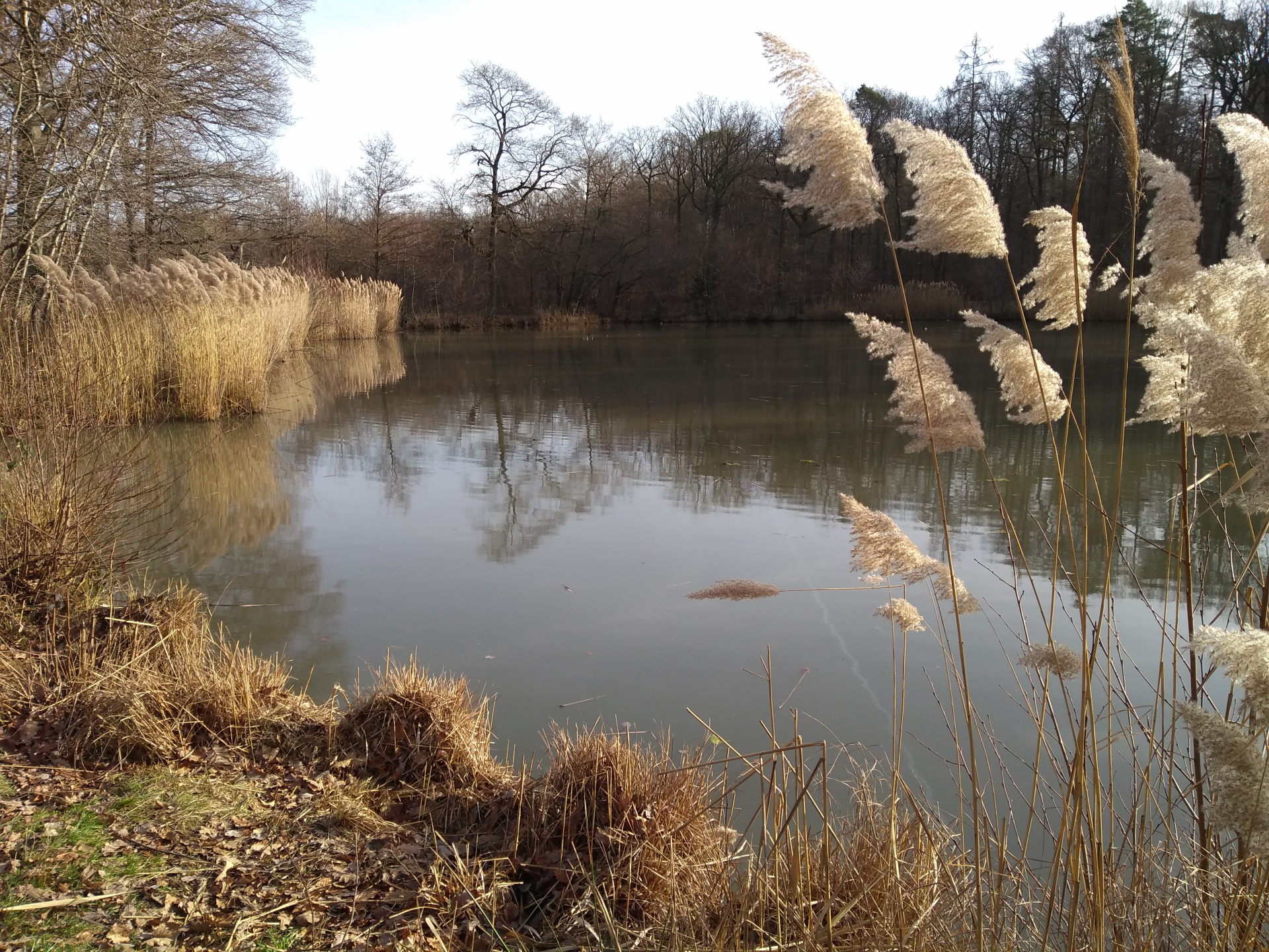 Am Hamberger See